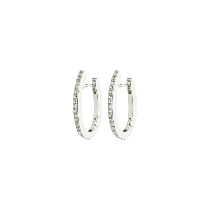 Anaya Earrings - silver