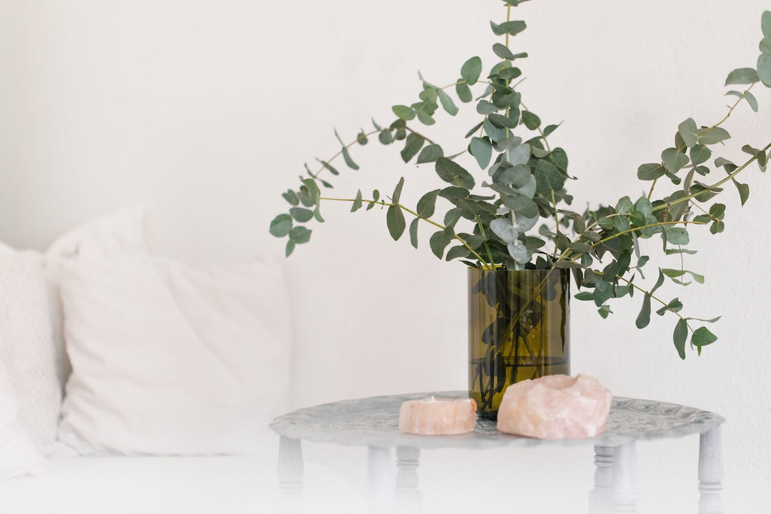 How to Make Your House Smell Good (like Voila!)