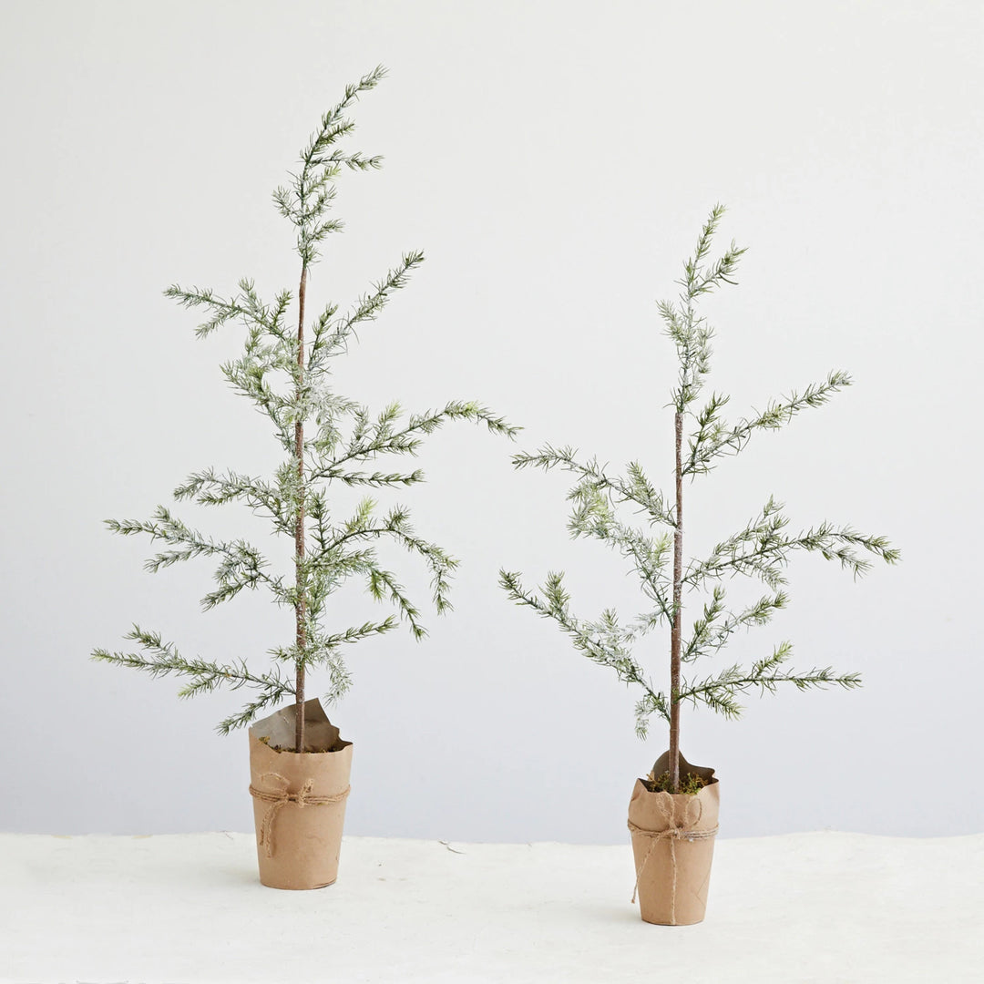 Christmas Trees