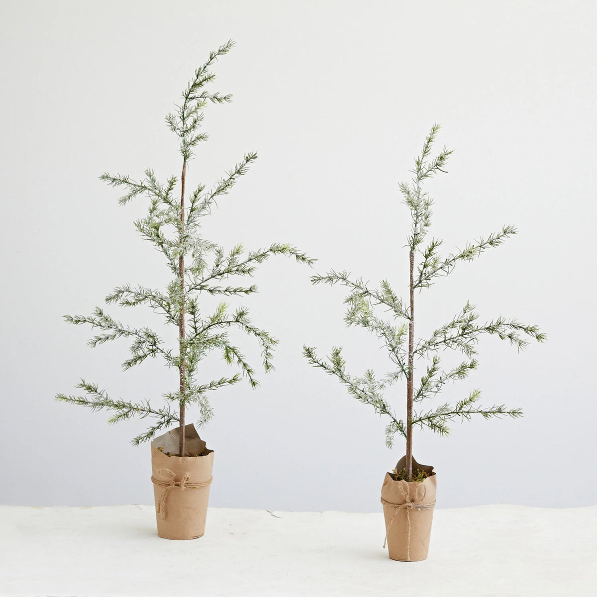 Christmas Trees