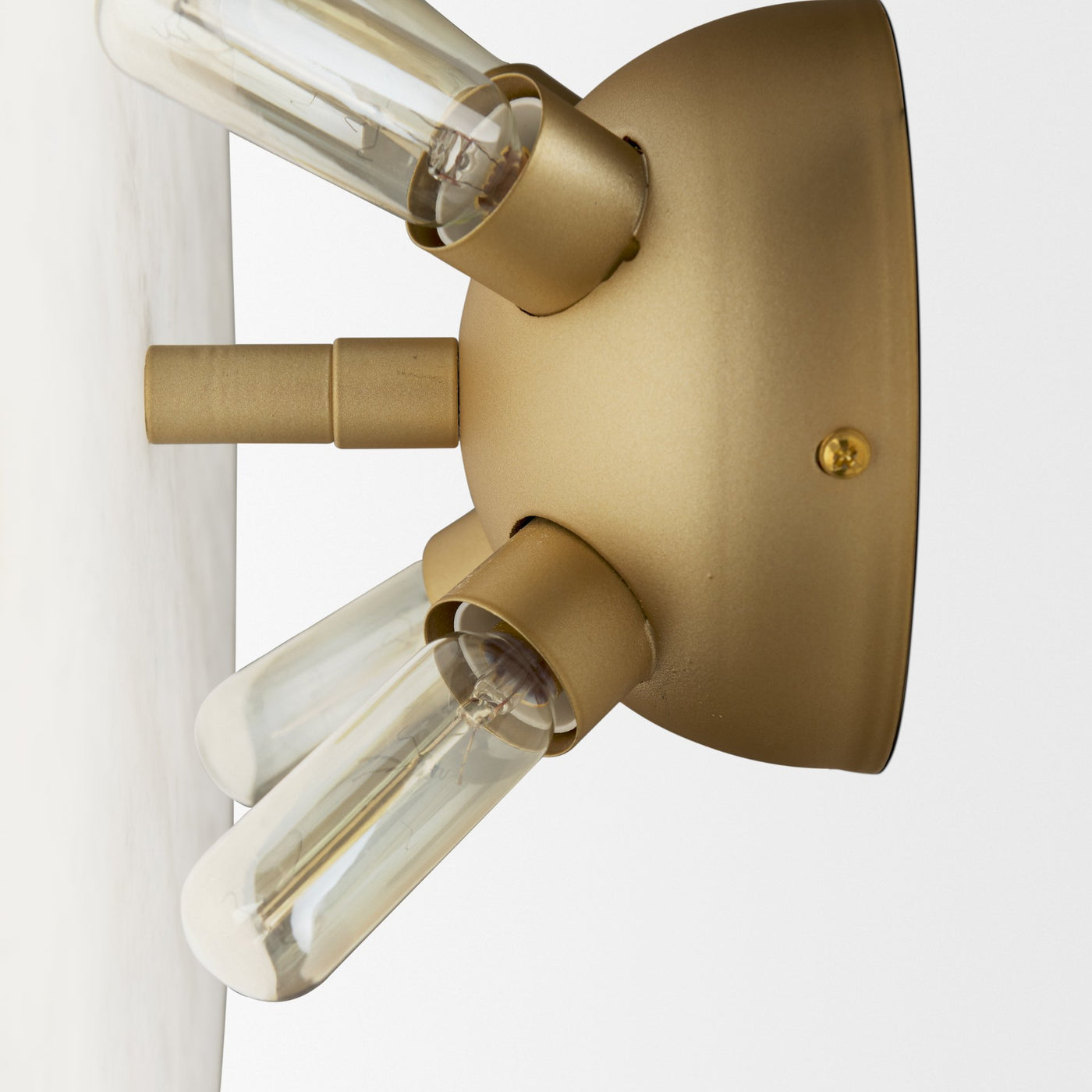 Dolly Wall Sconce