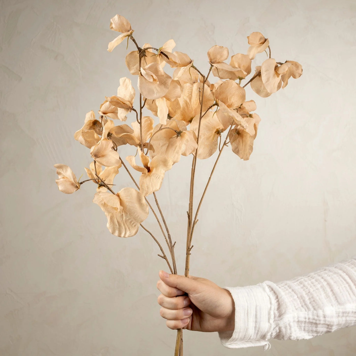 Sweet Pea Floral Stem