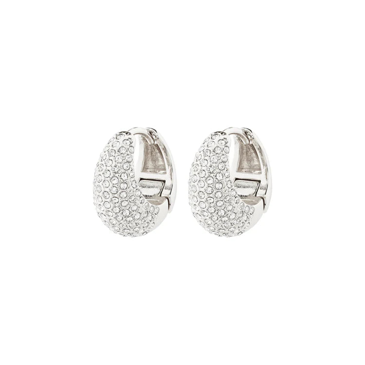 Focus Crystal Earrings - silver