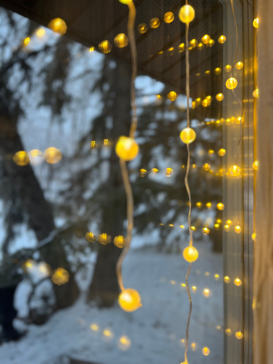Curtain Berry Lights