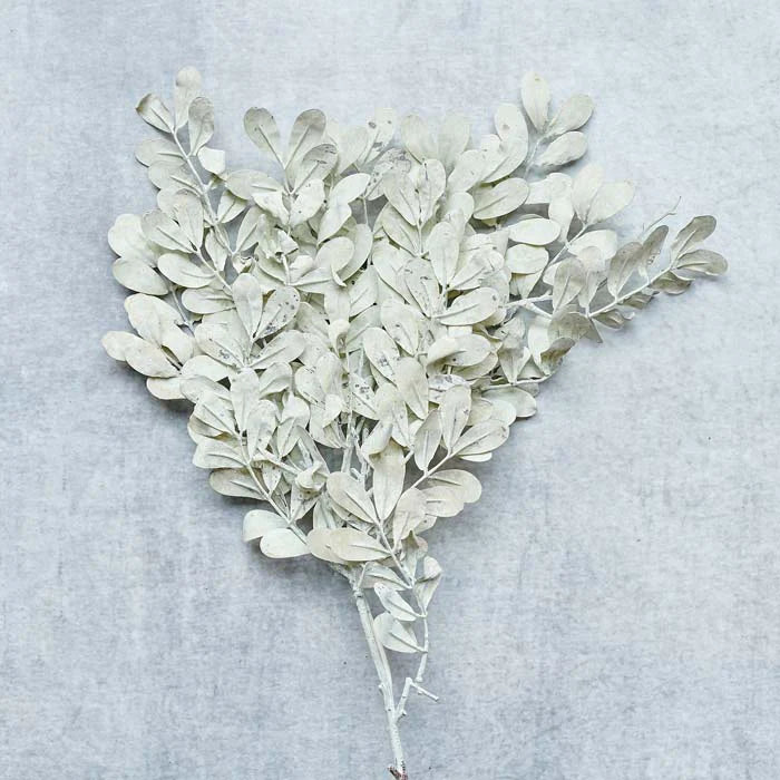Eucalyptus Bunch