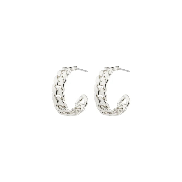 Mayer Earrings - silver