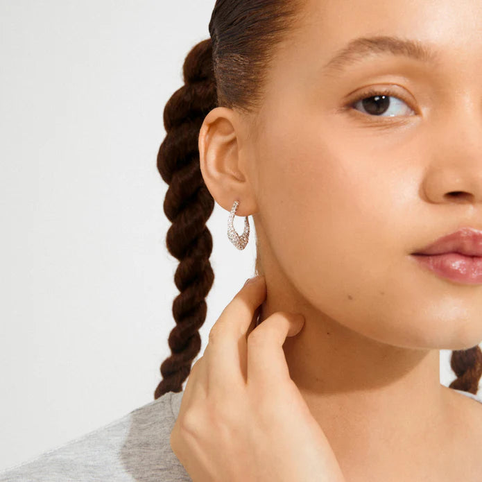 Fenix Earrings - silver