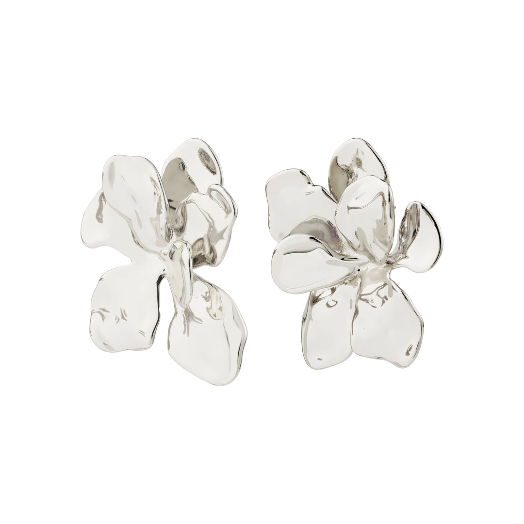 Halen Earrings - silver