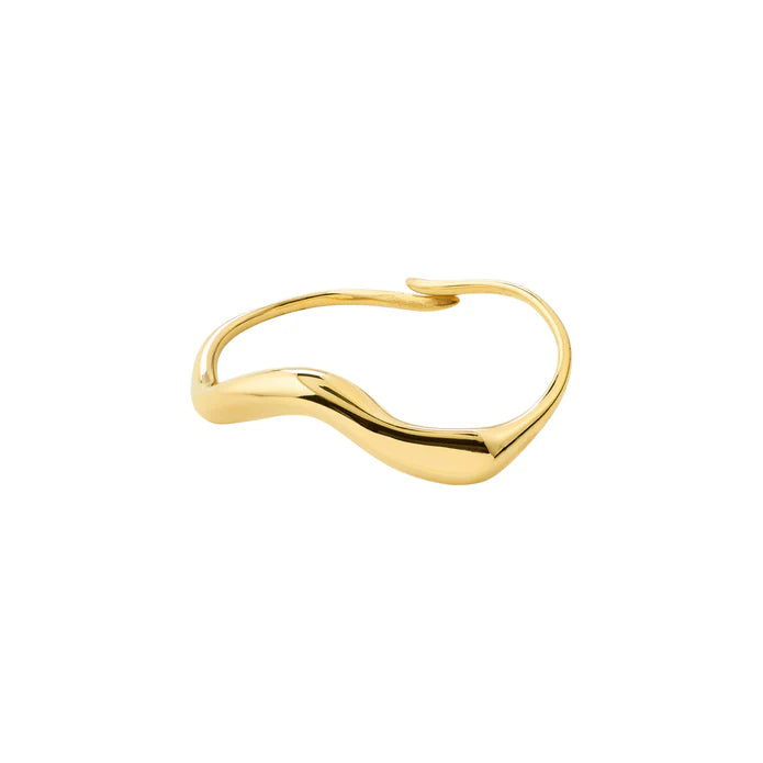 Evon Double Ring