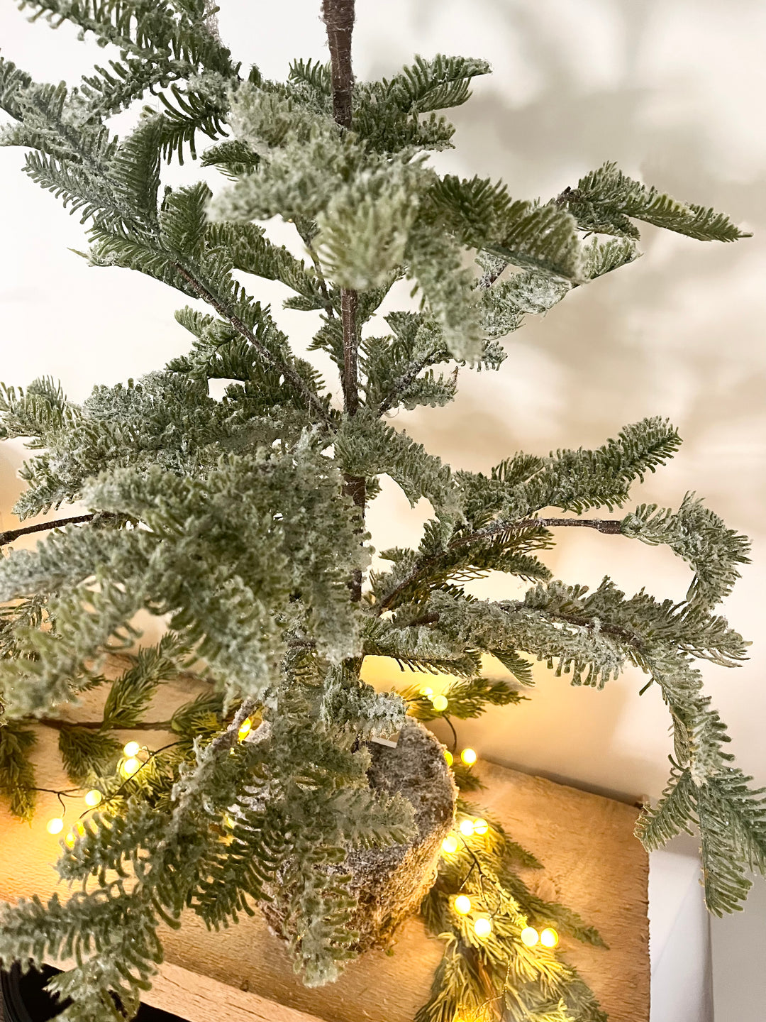 Larkin Tree