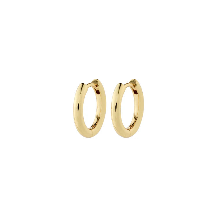 Charm Hoop Earrings - small gold