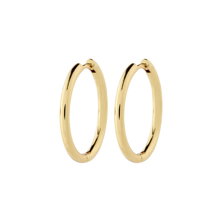 Charm Hoop Earrings - large gold