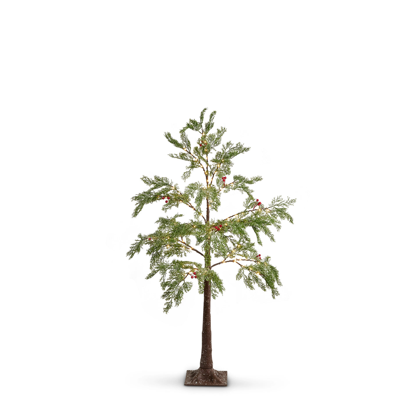 Lit Cedar Tree