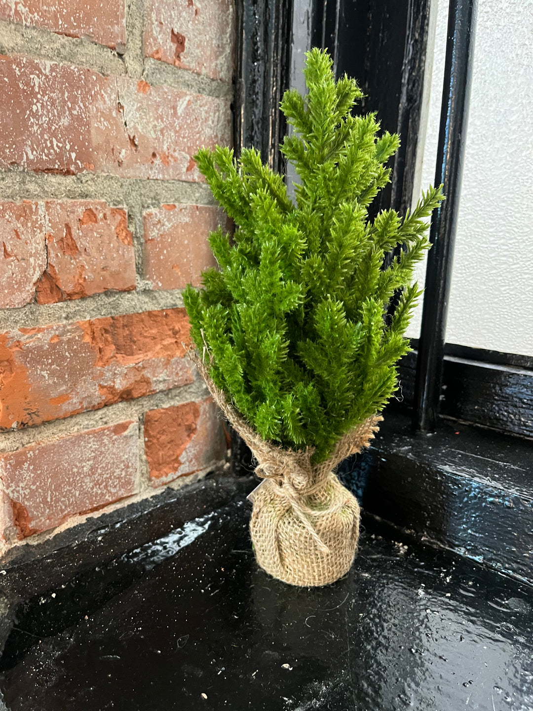 Cedar Tabletop Tree
