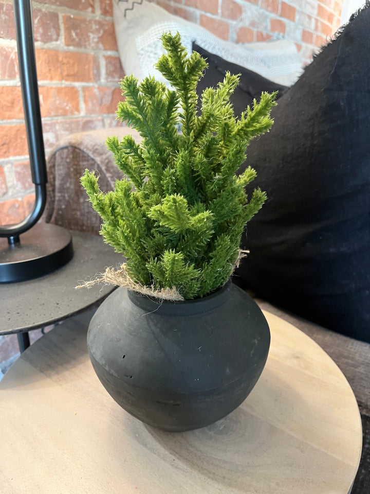 Cedar Tabletop Tree
