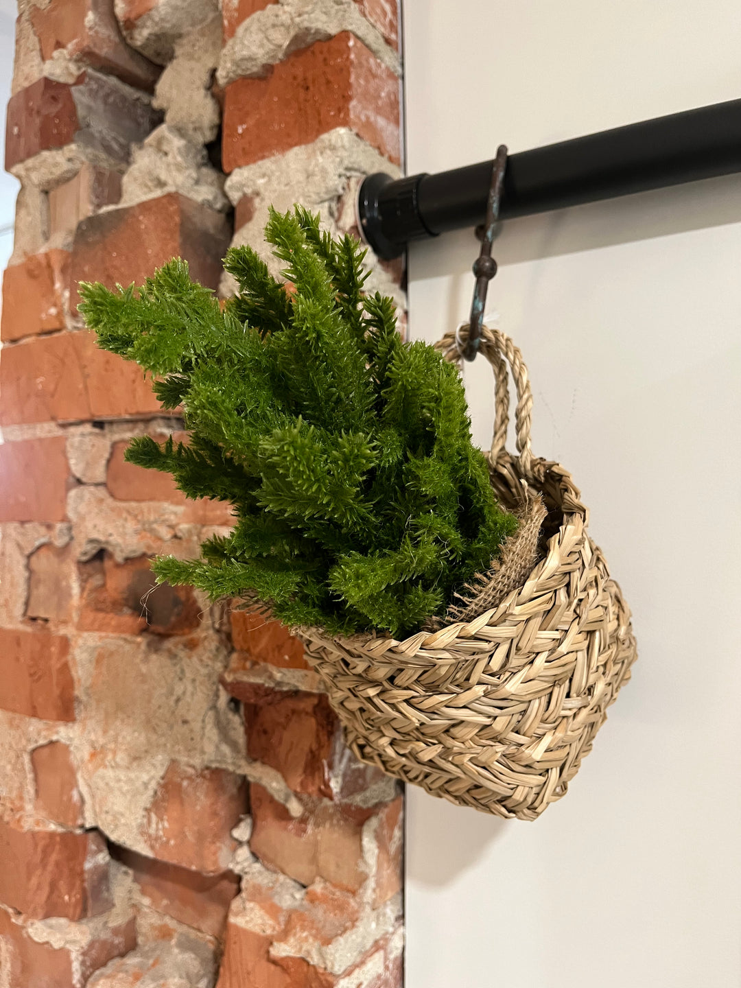 Cedar Tabletop Tree