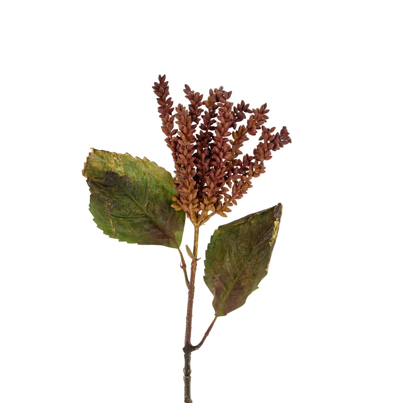 Dripping Seed Stem - purple