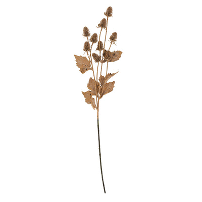 Dried Thistle Spray