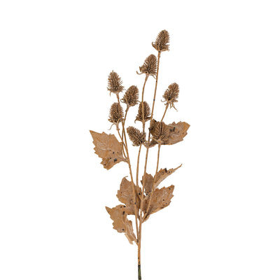 Dried Thistle Spray