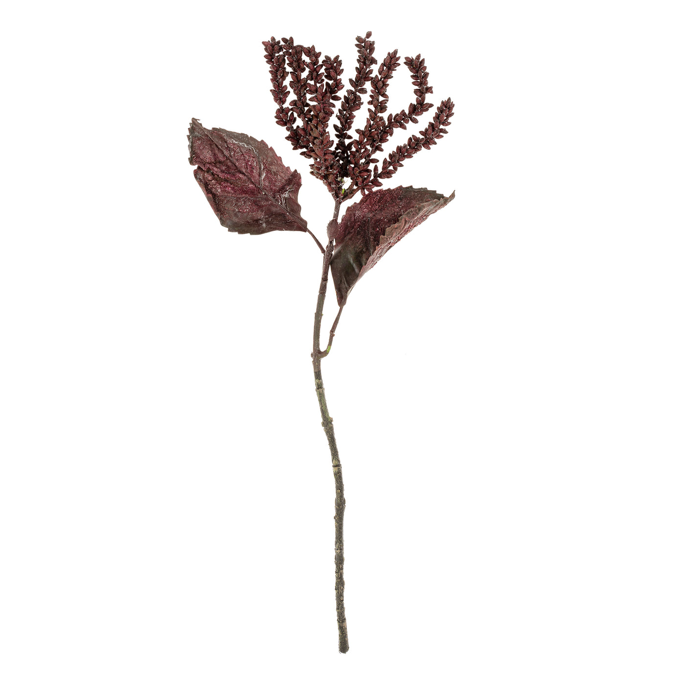 Dripping Seed Stem - dark purple