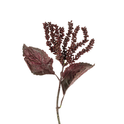 Dripping Seed Stem - dark purple