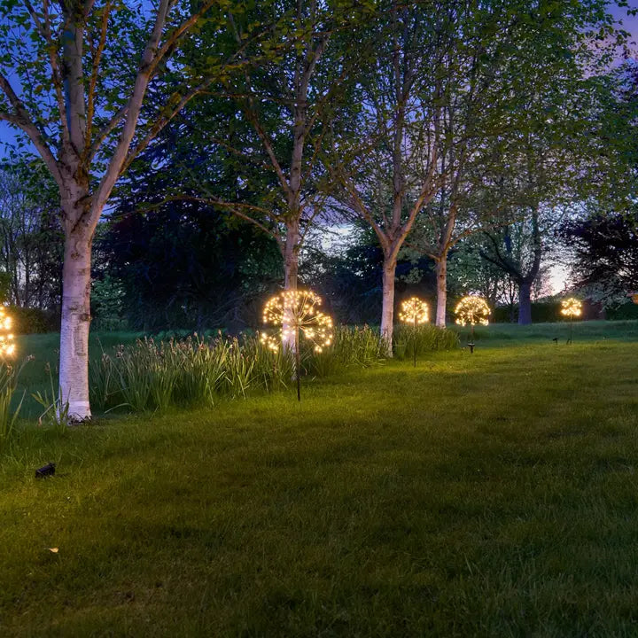 Solar Dandelion Light
