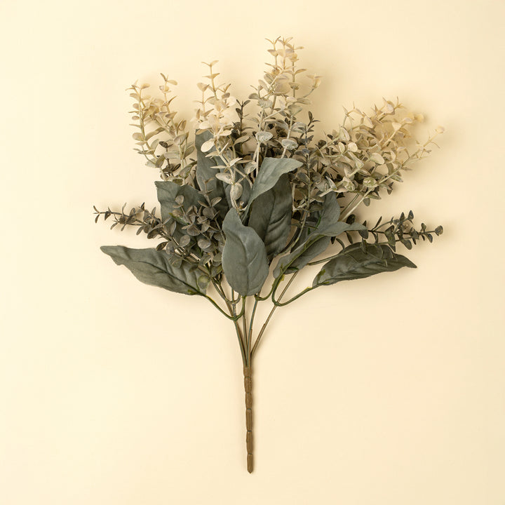 Primrue Eucalyptus