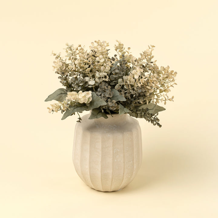 Primrue Eucalyptus