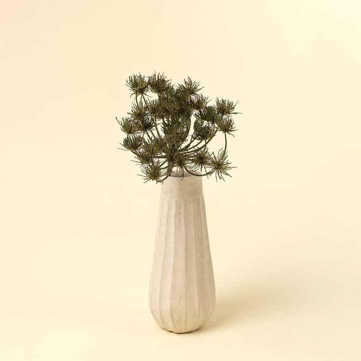 Wild Angelica Stem