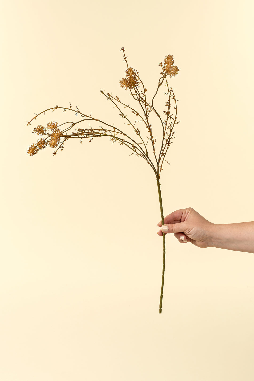 Wispy Twig Spray
