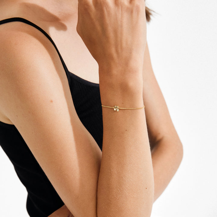 Ajani Bracelet - gold