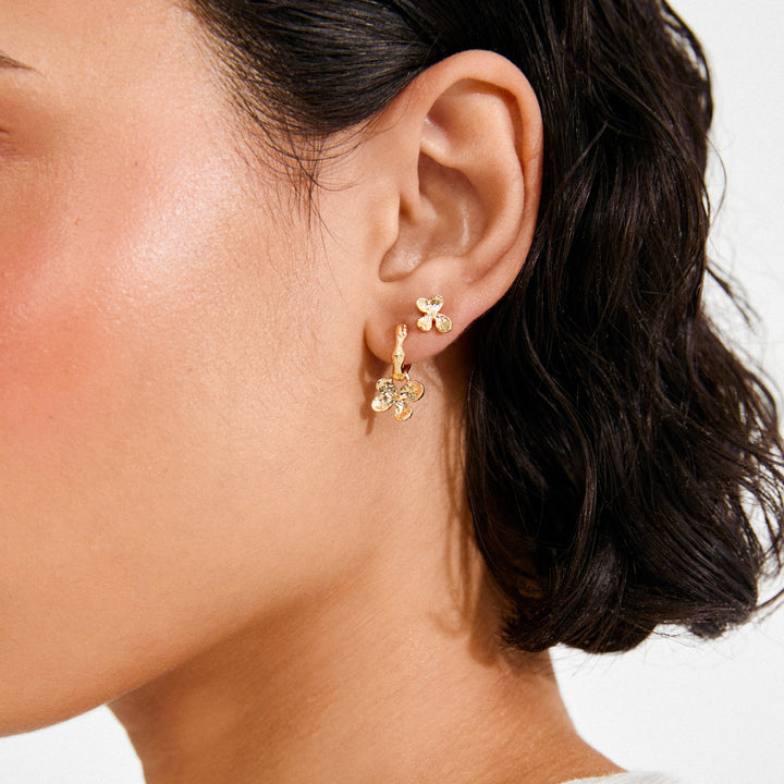 Ajani Earrings Set/2 - gold