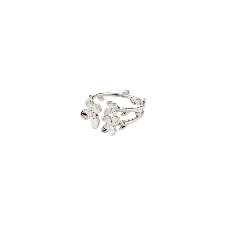 Ajani Ring - silver
