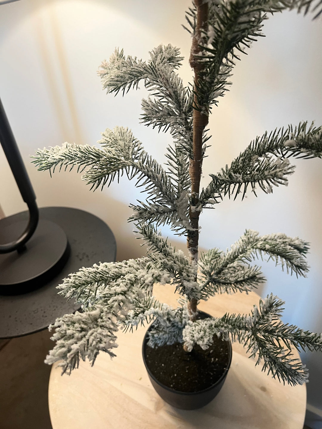 Wynter Tree