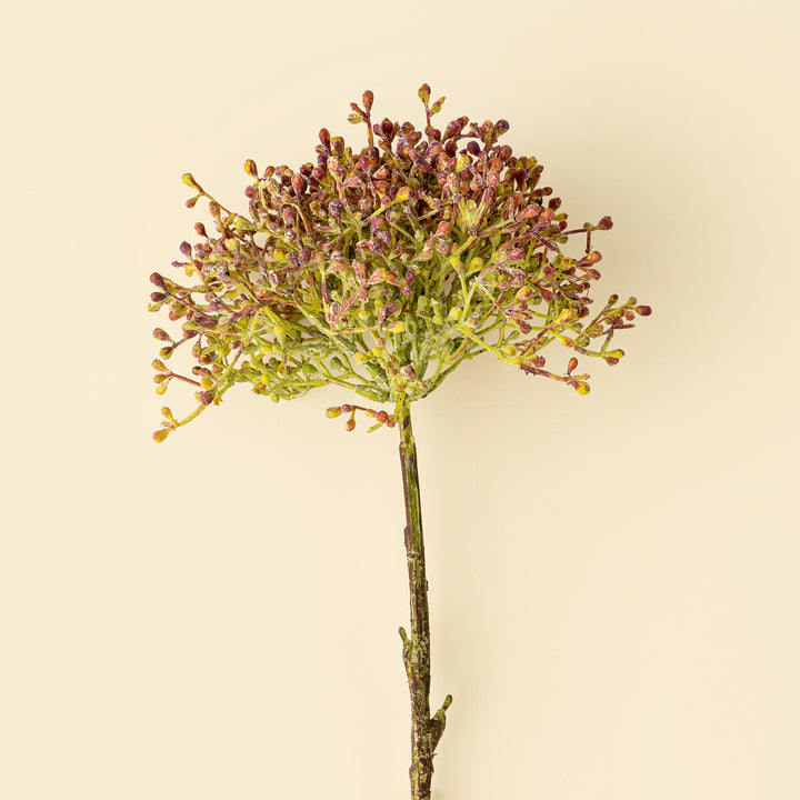 Viburnum Berry Spray