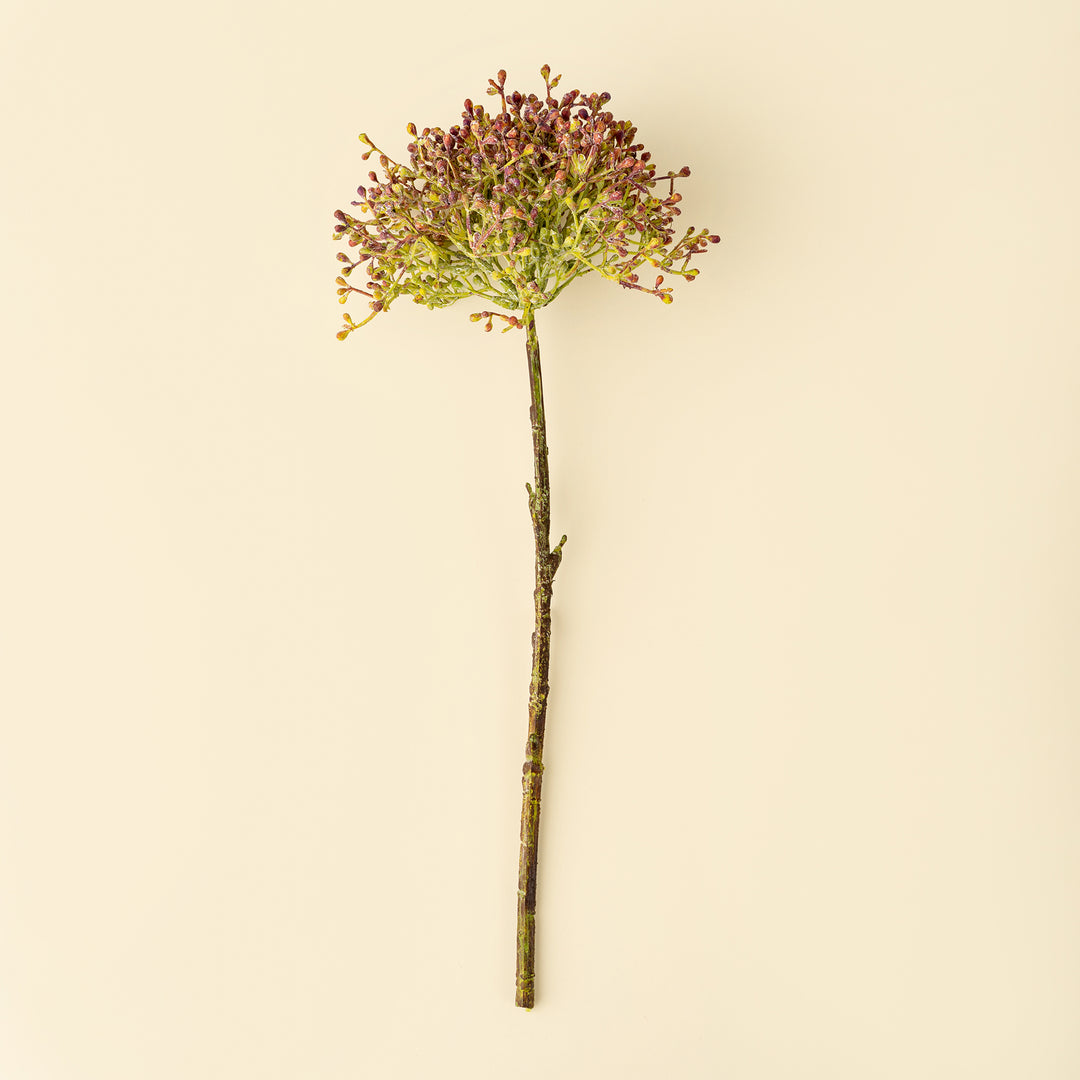 Viburnum Berry Spray