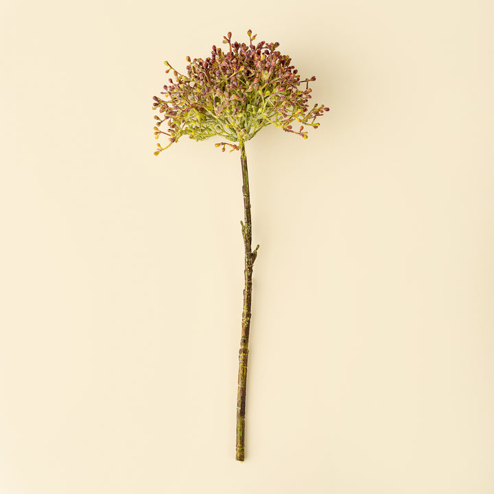 Viburnum Berry Spray