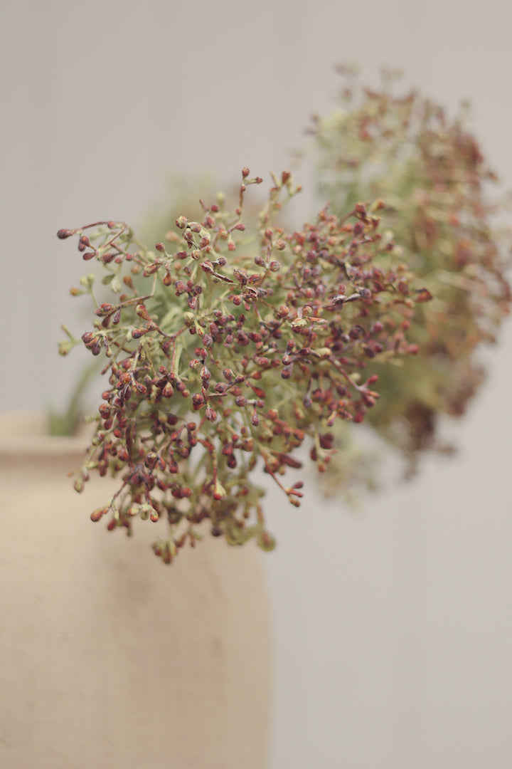Viburnum Berry Spray