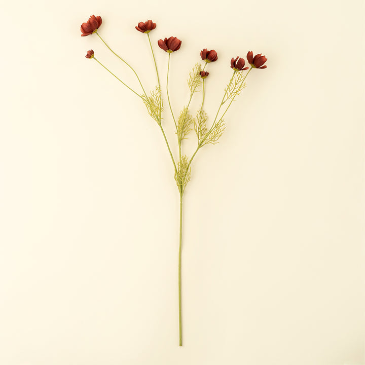 Calliopsis Spray