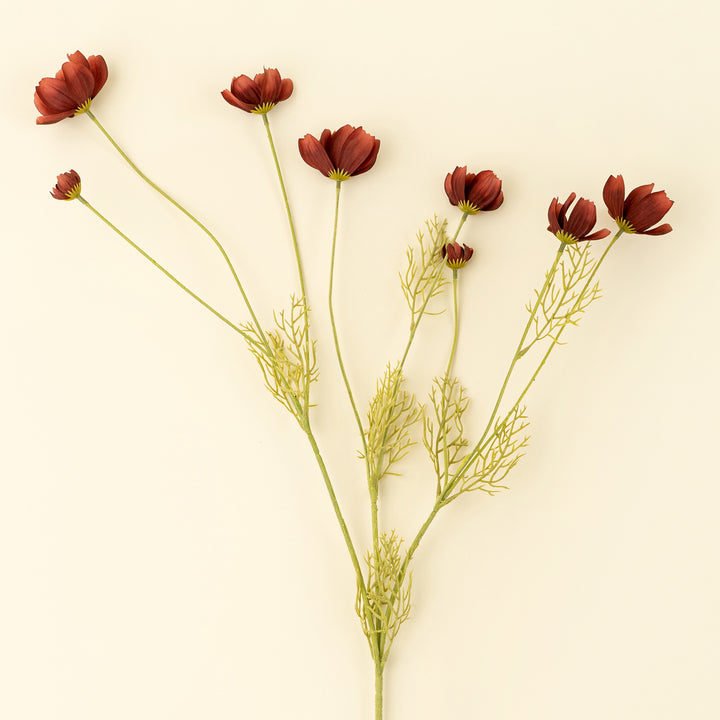 Calliopsis Spray
