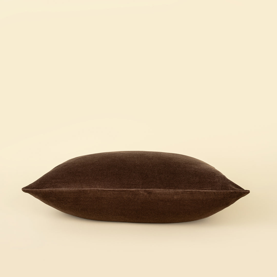 Vera Luxe Velvet Pillow