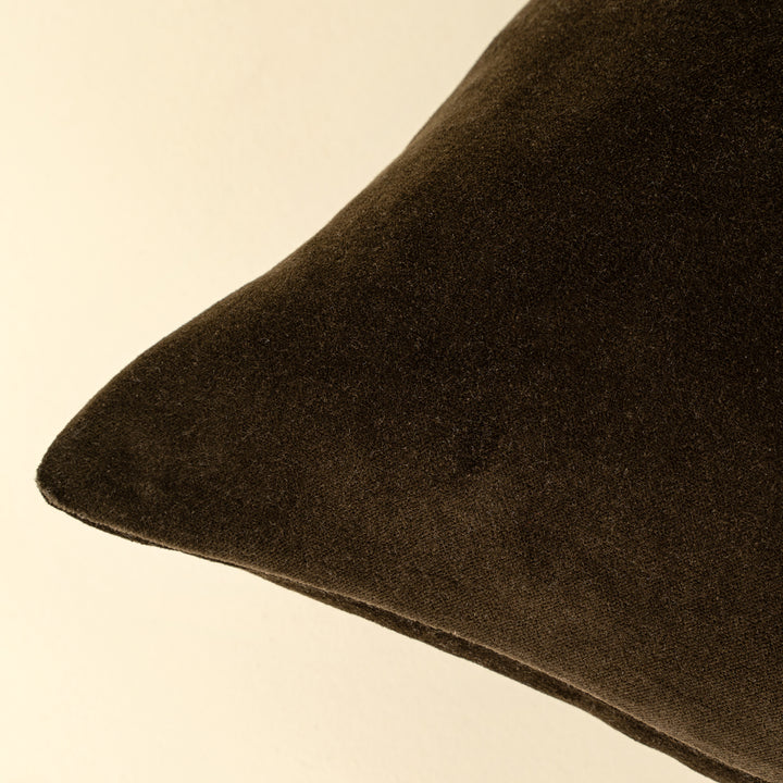 Vera Luxe Velvet Pillow