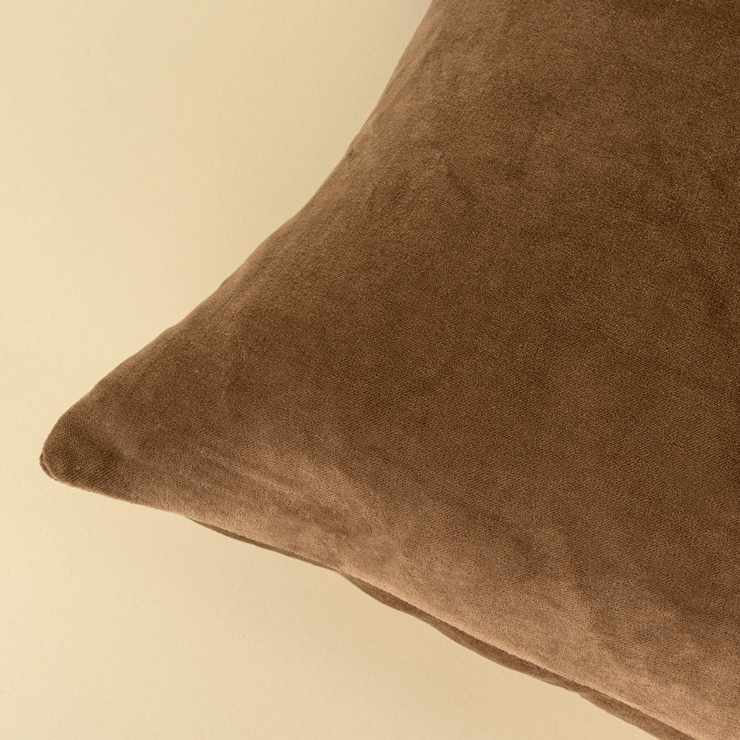 Vera Luxe Velvet Pillow