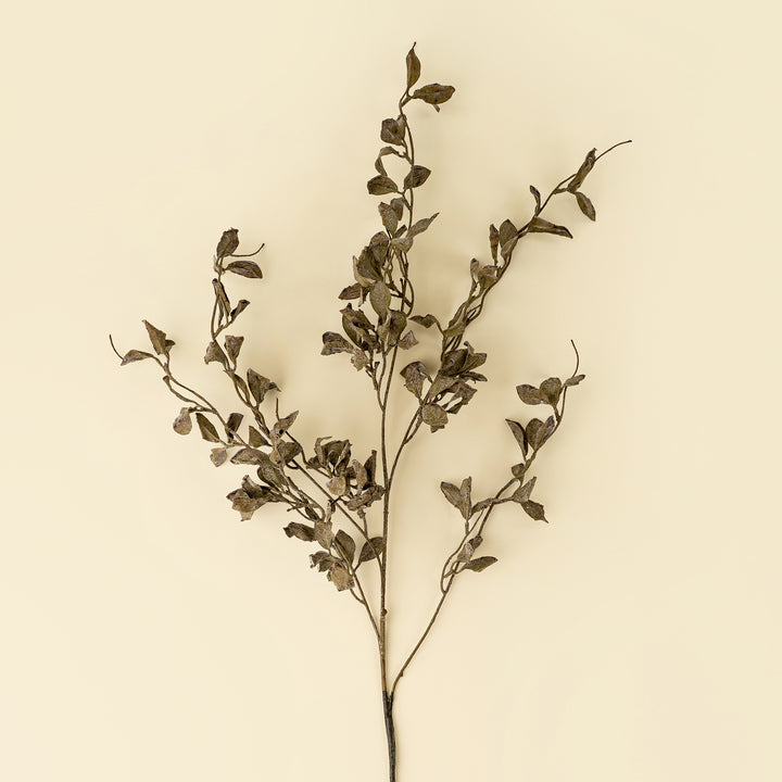 Smoked Eucalyptus
