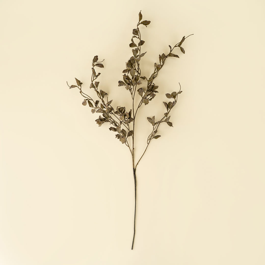 Smoked Eucalyptus