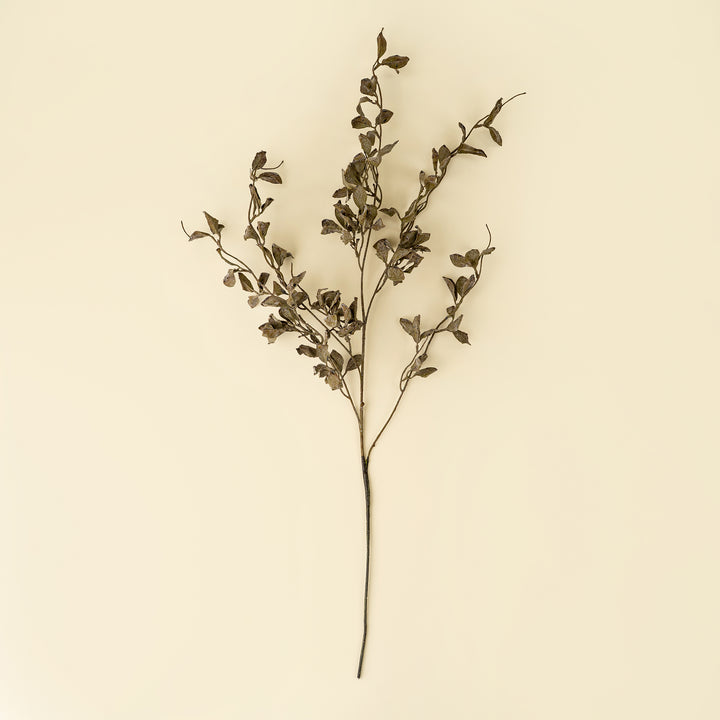 Smoked Eucalyptus