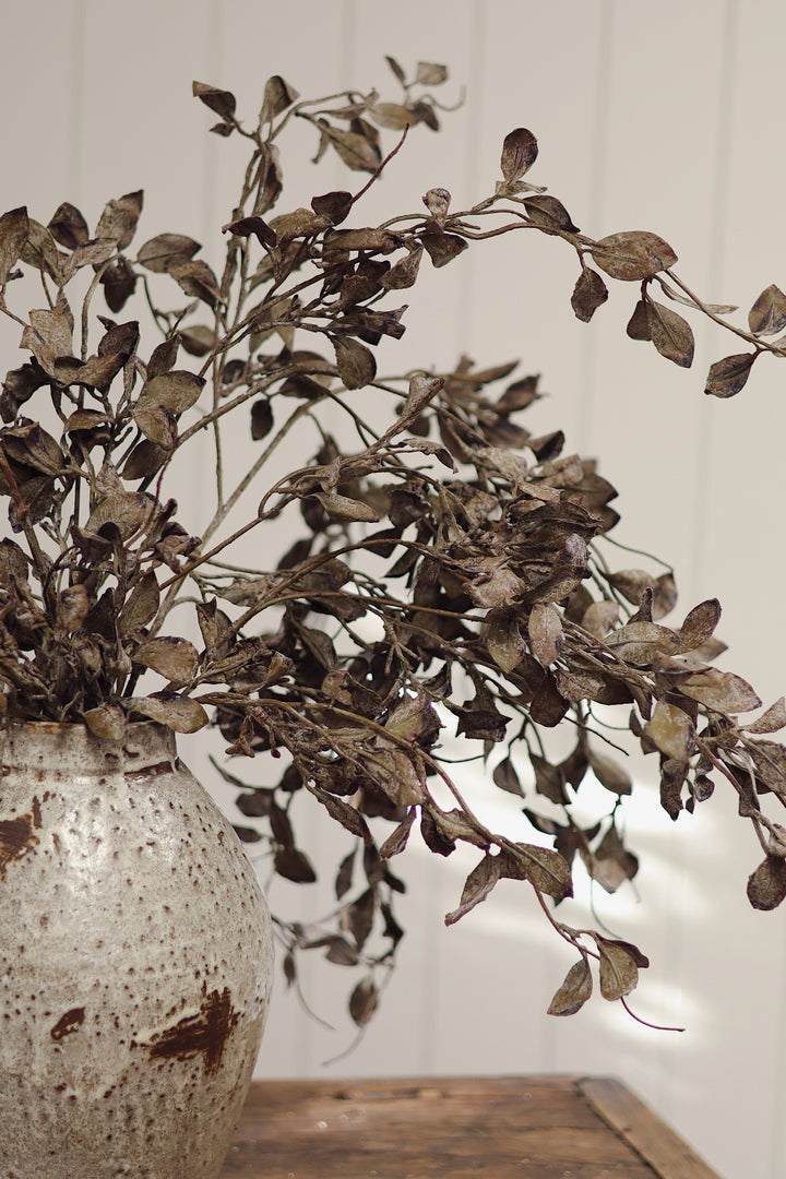 Smoked Eucalyptus