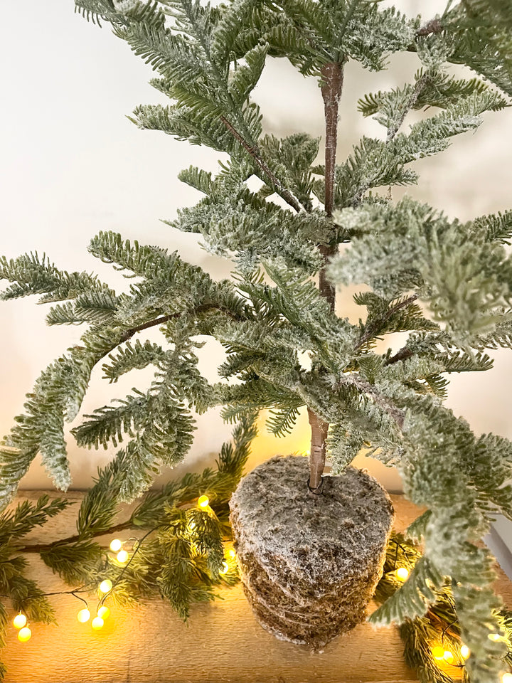 Larkin Tree
