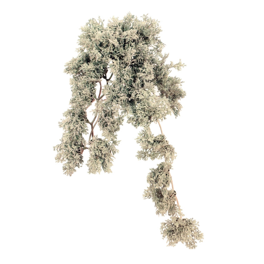 Moss Bush - grey