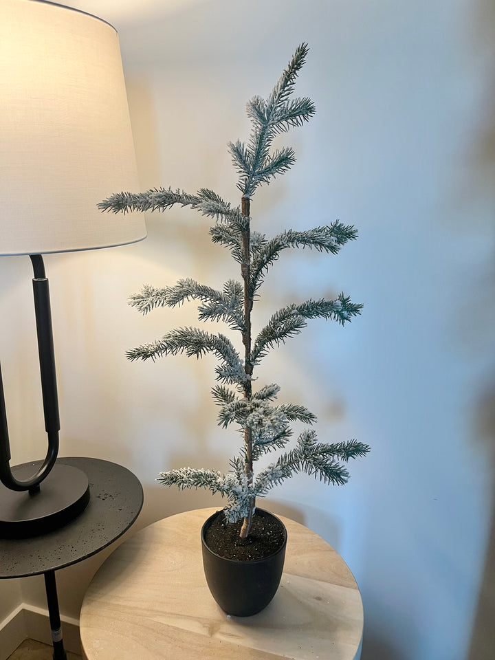 Wynter Tree